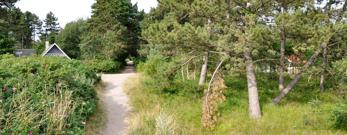 Sommerhusvej i Højby Lyng
