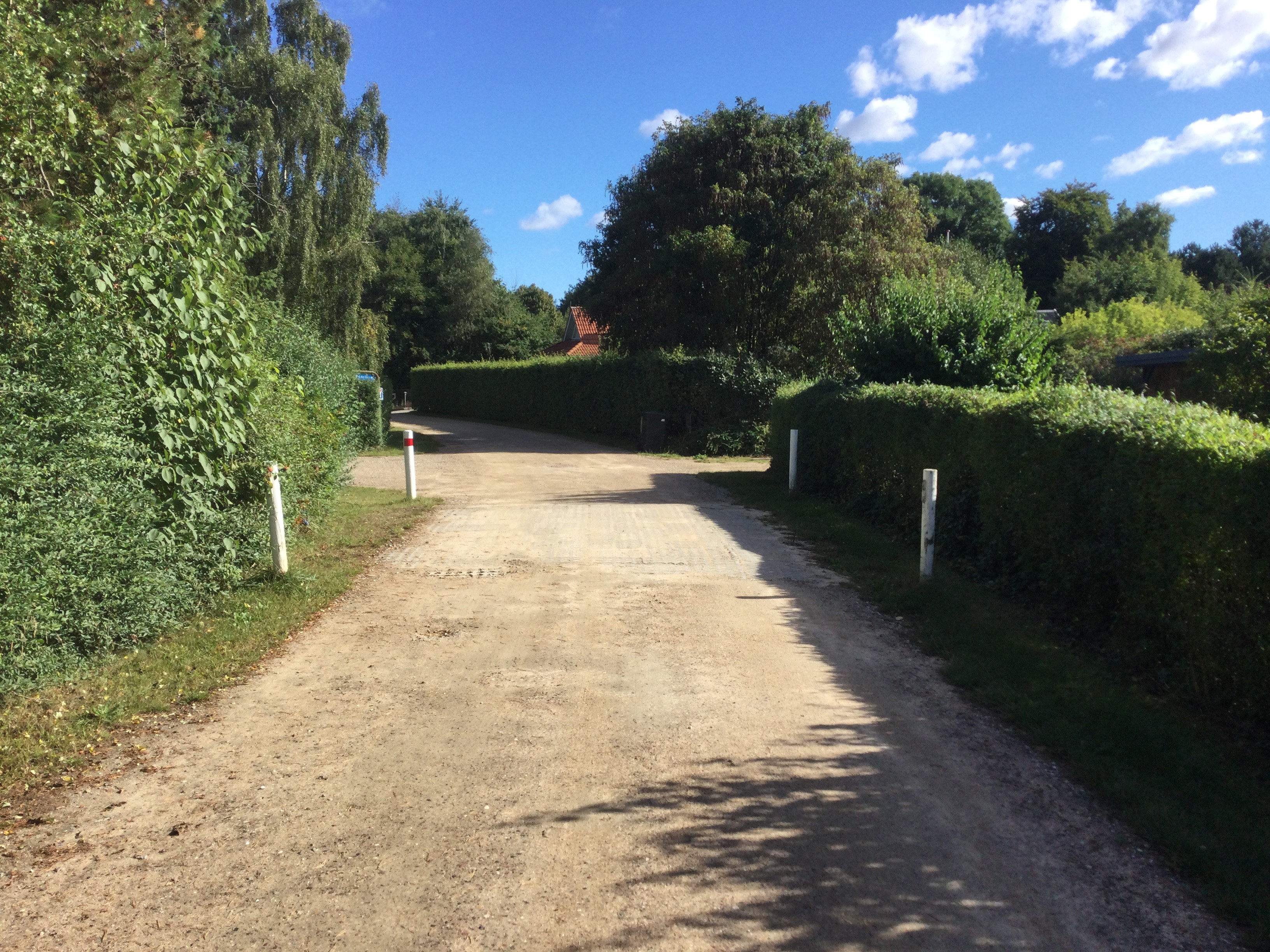Grusvej mellem veltrimmede hække og ved et lille vejbump - solen skinner og fuglene synger